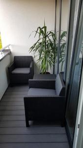 Apartament Bałtycka