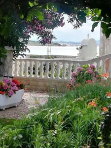 Apartments Esperanza