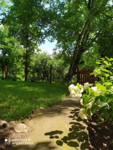 Apartmani Smiljanic Sokobanja