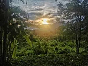 The Lookout Pai - Pang Mapha