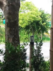 Raina-Suanpa Lung Sood Farmstay