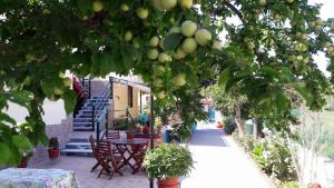 Pension Soula Skopelos Greece