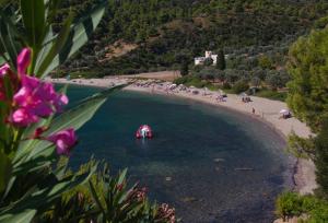 Studio Cosy - In the Heart of Skyros Village Skyros Greece