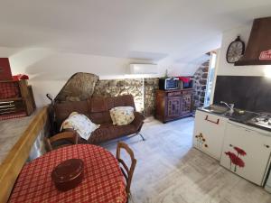 Appartements Les Chataignes D'ardeche : Studio