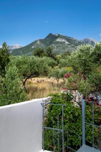 The Olive Grove Boutique Villas Messinia Greece