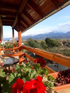 PENSIUNEA LEIA Transfăgărășan