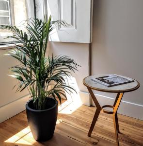 Comfort in the center of Lisbon