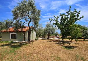 Panos House Thassos Greece