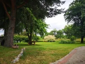 Merkinės viensodis - lavysas