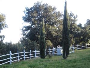 CaCecia