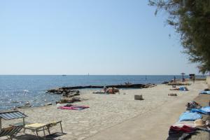 ELENA, 100 m from the beach