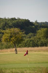 Lodges Cottages du Golf Fleuray-Amboise : photos des chambres