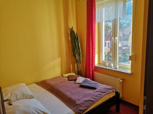 Apartamenty Kostka