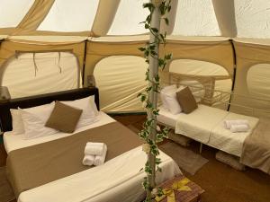 Tentes de luxe Fonclaire Holidays Glamping 'Luxury Camping' : photos des chambres