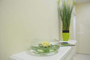 Apartments Royal Lux