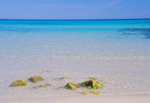 Residence con piscina Piricone img37