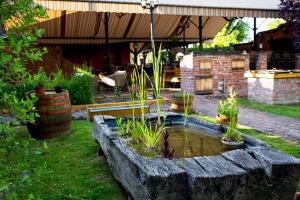 Hotel Vineyard Inn - Szőlőskert