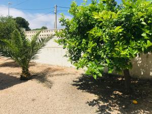 MEDDAYS VILLA LAGUN ETXEA