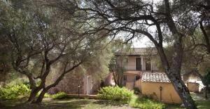 Felix Hotels - Country Resort Parco degli Ulivi img65