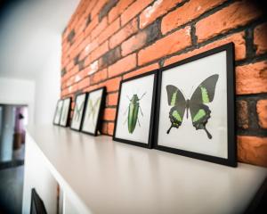 Apartament Ceglany Komin