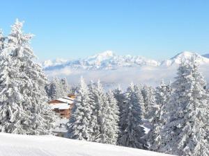 Appartements MONT BLANC 20 LE REVARD : photos des chambres