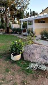 Azienda Agricola I Peperoncini img9