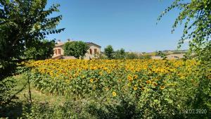 Agriturismo Vallelunga