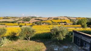 Agriturismo Vallelunga