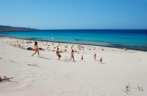 Il Fenicottero img35