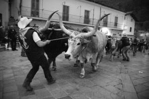 Appartamento