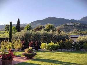 Tuscan Villa exclusive use of private pool AC Wifi Villa Briciola