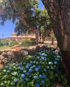 Apartamentos Rurales La Macera **** - La Codosera