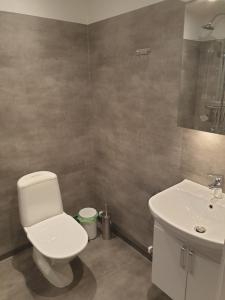 Adelsgatan 36 lägenhetshotell, Gotland Living and Meeting