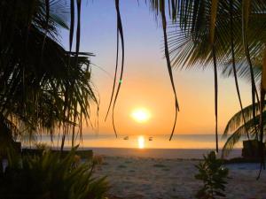 Coconut Village Beach Resort