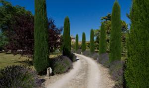 Villas Maison de campagne au charme provencal : photos des chambres