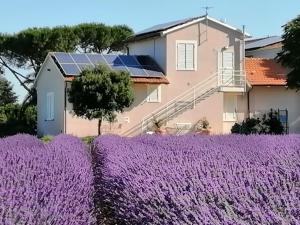 Agriturismo Susanna e Atria