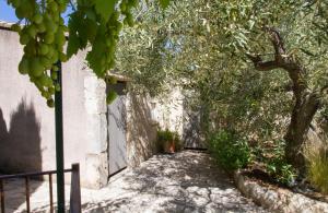 Villas Maison de campagne au charme provencal : photos des chambres