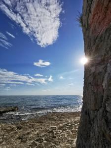 LARA deluxe SUPERIOR 5 star apartment, your piece of heaven by the sea & park 