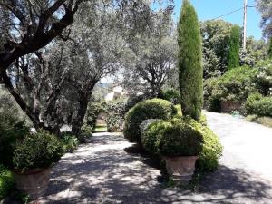 Maisons de vacances Apartment Picasso in grosem Park mit geheiztem Pool : photos des chambres