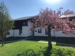 Apartment BERGliebe - schnuckelig, ruhige und zentrale Lage