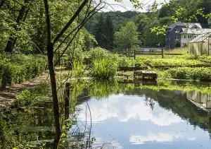 Ferienwohnung "Hieren Mühle" - Dieler