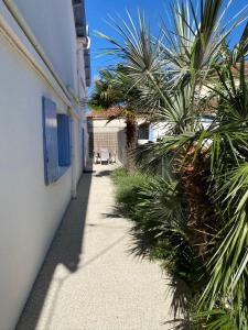 Appartements CENTRE CHATELAILLON GRAND T2** AVEC COUR 100mPLAGE : photos des chambres