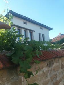 Събевата къща