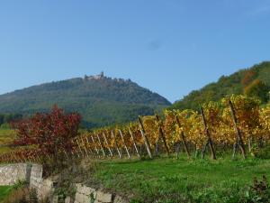 Appartements Gite d’Alsace l’Escale : photos des chambres