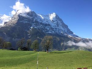 Eiger, Jungfrau, luxury garden apartment