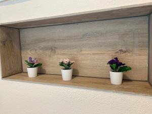 Eiger, Jungfrau, luxury garden apartment