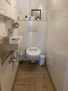 Eiger, Jungfrau, luxury garden apartment