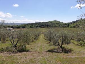 Agriturismo Debbione Marconi