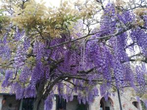 Agriturismo Debbione Marconi