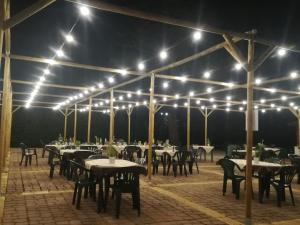 Fattoria Il Noce B&B